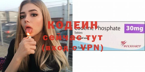 прущие грибы Дмитриев