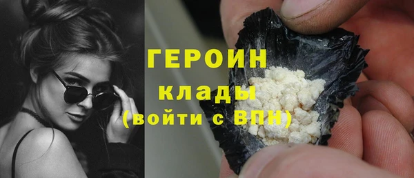 прущие грибы Дмитриев