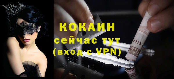 прущие грибы Дмитриев