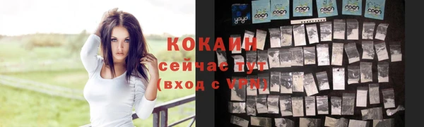 прущие грибы Дмитриев