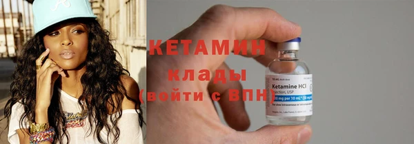 прущие грибы Дмитриев