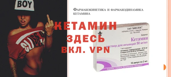 прущие грибы Дмитриев