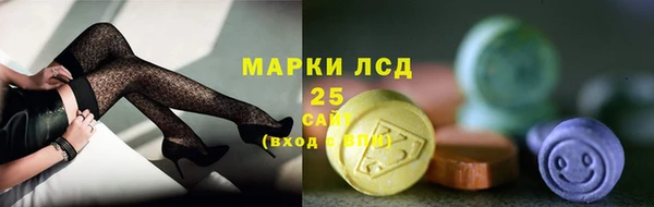 прущие грибы Дмитриев