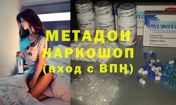 прущие грибы Дмитриев