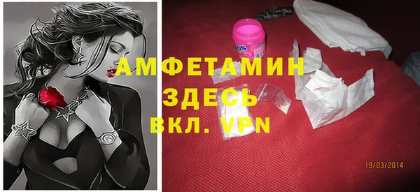 прущие грибы Дмитриев