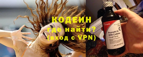 прущие грибы Дмитриев