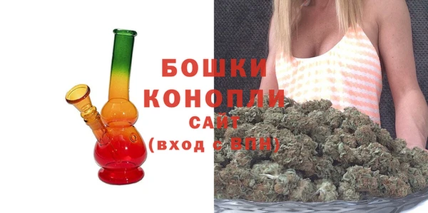 сатива Дмитров